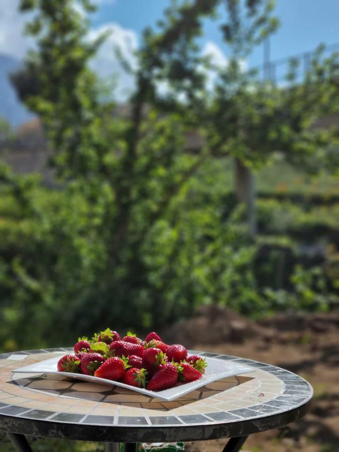 B&B Carmelina Gragnano Kültér fotó